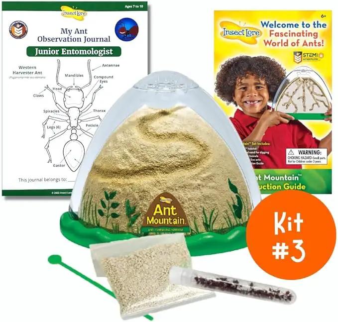 Insect Lore Bug Camp Bundle | Butterfly Kit with 1 Cup Live Caterpillars | Ladybug Land with 1 Tube Live Larvae | Ant Mountain with 1 Tube Live Western Harvester Ants | Life Cycle Figurines & More by GreenHaven Gardens