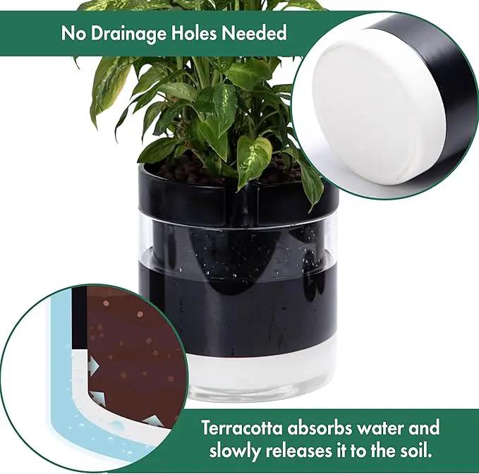 Phoenix Vine 10 Inch Self Watering Terracotta Planter, Black Terracotta Clay Pot with Glass Reservoir for Indoor Plants, Herbs, Flowers, Set of 1, 52-C-I-1 by GreenHaven Gardens