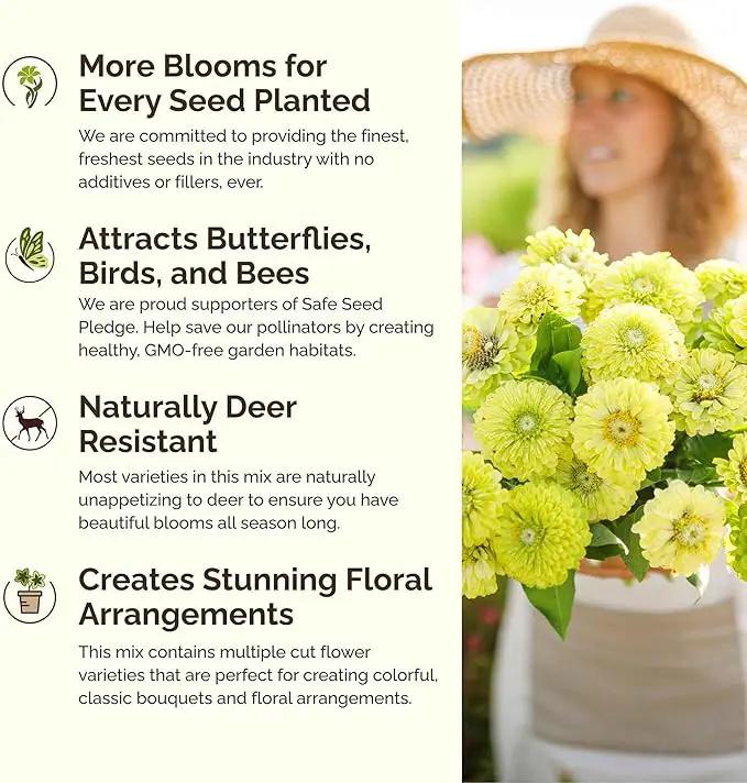 Eden Brothers Green with Envy Flower Mixed Seeds for Planting, 1/4 lb, 120,000+ Seeds with White Yarrow, Cornflower White | Attracts Pollinators, Plant in Spring or Fall, Zones 3, 4, 5, 6, 7, 8, 9, 10 by GreenHaven Gardens