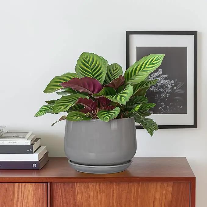 G EPGardening Ceramic Pot for Plants - Modern 6 Inch Round Planter Indoor with Drainage and Tray for Indoor Outdoor Flower, Patio Decor, Teacher Gifts, Grey by GreenHaven Gardens