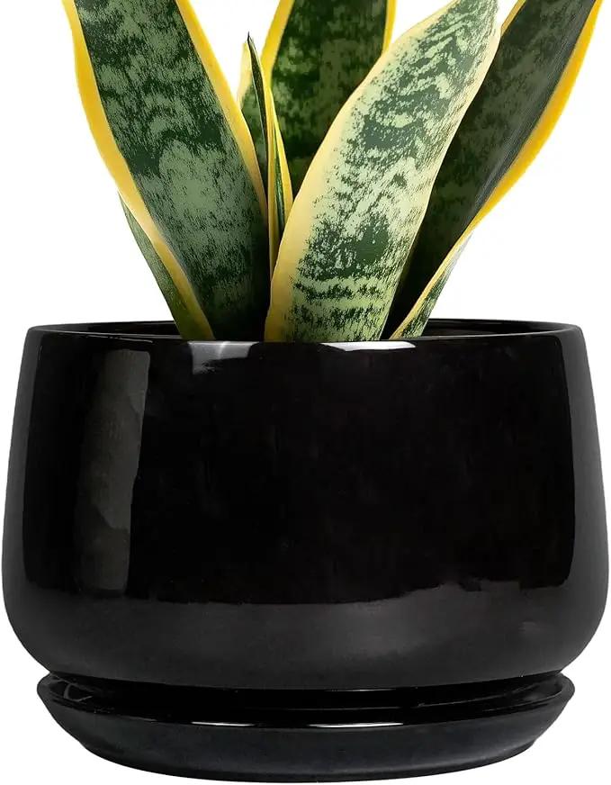 G EPGardening Ceramic Planter 7 Inch - Ceramic Pot for Plants with Drainage and Saucer, Round Plant Pots, Modern Indoor Outdoor Planter, Home Decor, Garden Gifts, Black by GreenHaven Gardens