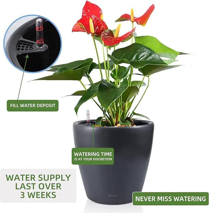 Dexceder 18x17 Self Watering Planter with Wheels Indoor Outdoor, Inner Pot Design, Thickened Large Floor Standing Flower Plant Pot with Water Level Indicator (Slate Gray Matte) by GreenHaven Gardens
