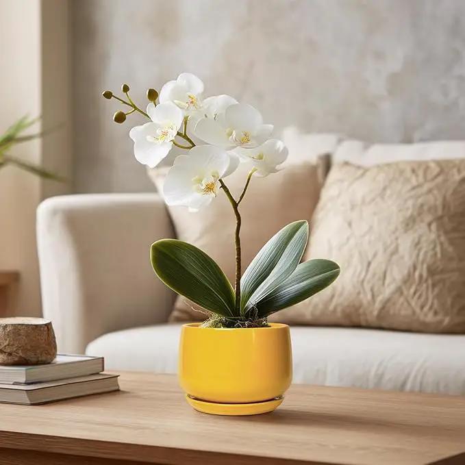 G EPGardening 4 Inch Ceramic Planter - Succulent Pots for Plants Indoor Outdoor, Small Plant Pots with Drainage Hole & Saucer, Round Planter, Modern Flower Pot, Home Decor, Plant Lover Gift, Yellow by GreenHaven Gardens