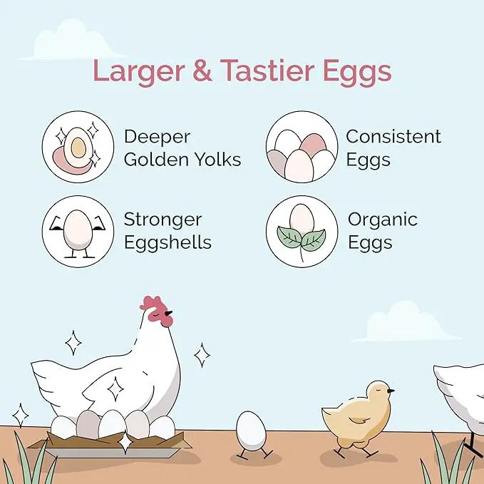 Chicken Grit for Layer & Grower Chickens Age 8-20+ Weeks - 100% Natural Mineral Chicken Grit Quartzite, Poultry Grit, USA Mined, 4 lbs by GreenHaven Gardens