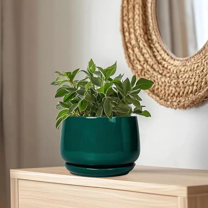 G EPGardening Ceramic Pots for Plants - 9 Inch Ceramic Planter for Indoor Plants, Round Planter with Drainage and Saucer, Modern Flower Pots for Outdoor, House Decor, Garden Gifts, Green by GreenHaven Gardens