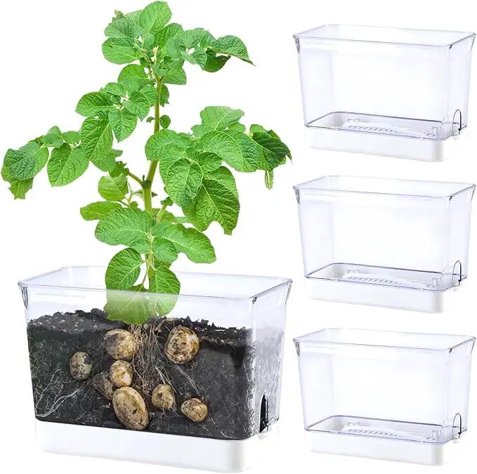 Self Watering Planters for Indoor Plants, 4 Pack Rectangular Clear Plant Pots with Drainage Holes for Spider Plant African Violet, Plant Growth Observations Plant Box for Kids by GreenHaven Gardens