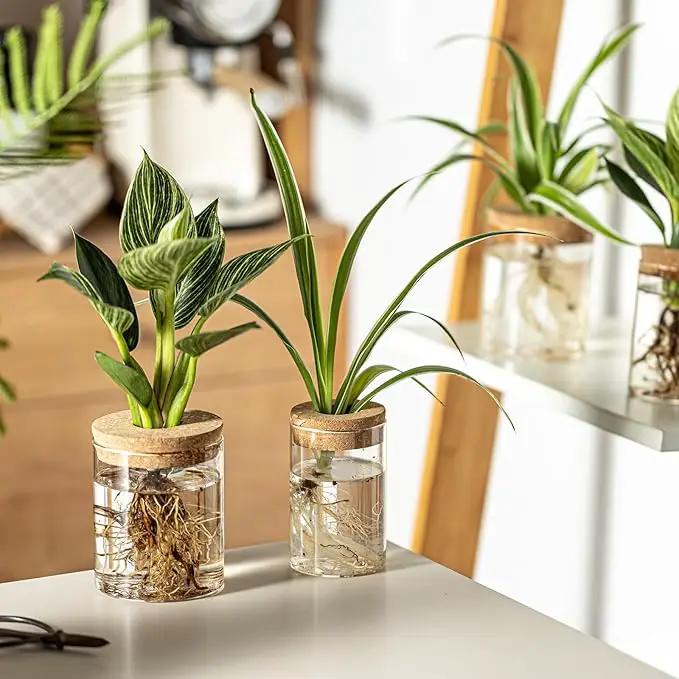 Glass Plant Propagation Stations for Plants – Set of 4(6 Large & 6 Small) Hydroponic Vases for Plant Cuttings,Flower Arrangements, Home & Office Decor–Desktop Vases for Living Room, Bedroom (12) by GreenHaven Gardens