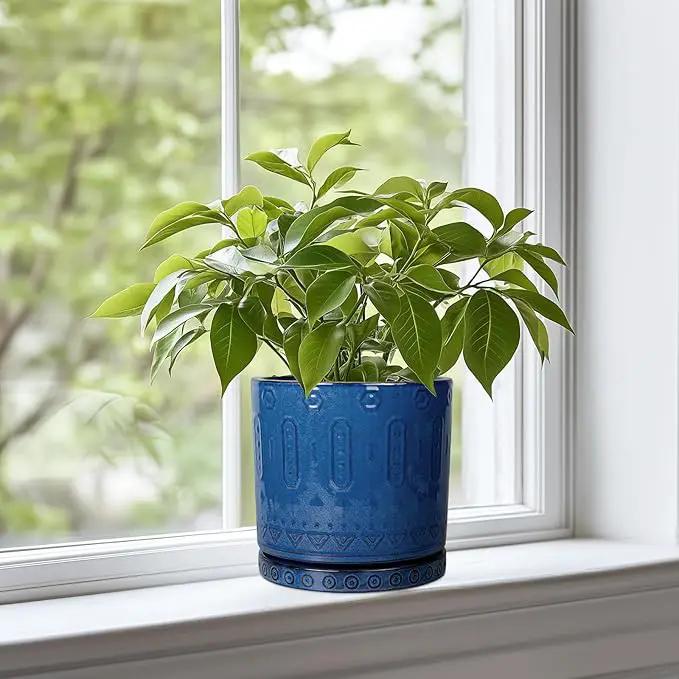 6 Inch Plant Pot - Ceramic Planter for Outdoor Plants Indoor Plant Pot with Drainage Holes and Saucer Succulent Pot Modern Round Flower Pot for House Room Decor Blue by GreenHaven Gardens