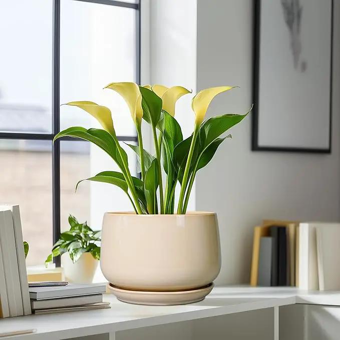 G EPGardening Ceramic Plant Pots - 9 Inch Round Planter, Ceramic Flower Pots with Drainage and Saucer, Modern Indoor Outdoor Planter, Room Decor, Home Gifts, Beige by GreenHaven Gardens