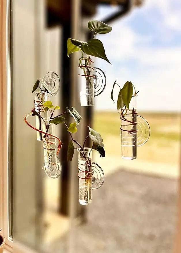 The Little Window Propagator- Window Plant Propagation Station with Removable Glass Test Tubes, Indoor Clippings, Cut Flowers, Herbs, Succulents | Home Decor | Plant Lover Gift by GreenHaven Gardens