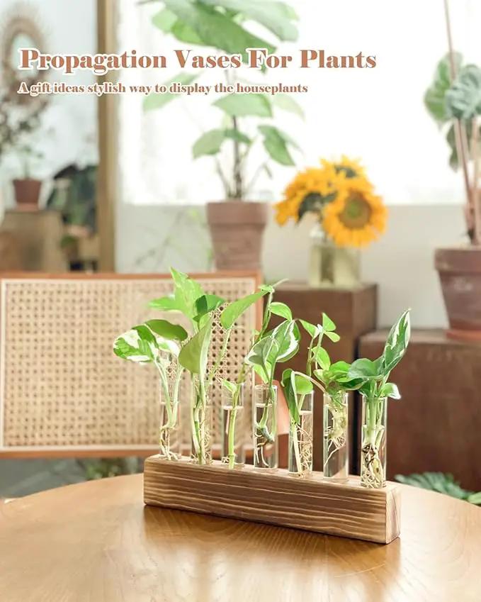 KAXYEW Plant Terrarium with Wooden Stand, Plant Propagation Tubes, 7 Test Tubes Glass Planter for Hydroponic Plant Cuttings Home Office Décor by GreenHaven Gardens