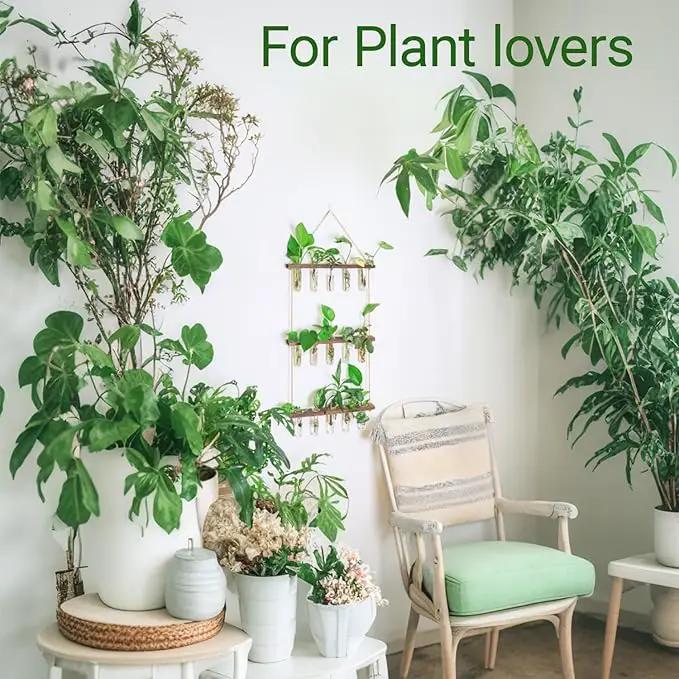 Ivolador Hanging Plant Propagation Tubes,3 Tiered Wall Hanging Terrarium Flower Planter Vase for Hydroponic Plants Cutting Home Office Garden Decor Plant Lover Gift by GreenHaven Gardens