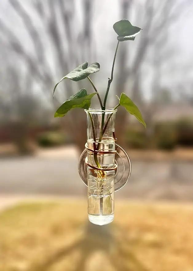 The Little Window Propagator- Window Plant Propagation Station with Removable Glass Test Tubes, Indoor Clippings, Cut Flowers, Herbs, Succulents | Home Decor | Plant Lover Gift by GreenHaven Gardens