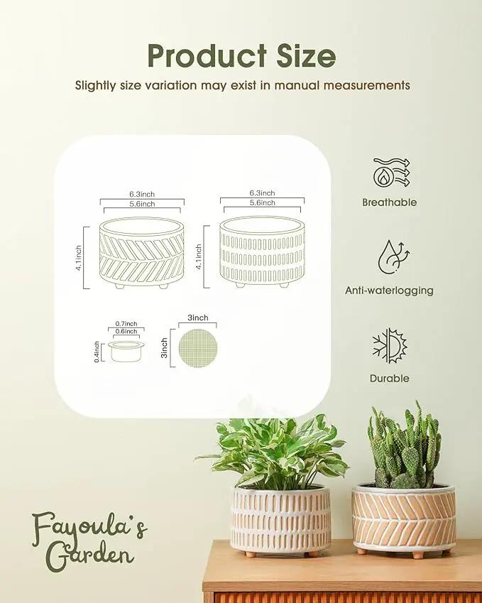 Succulent Pots, 6 Inch Pot for Indoor Plants, Footed Pots for Plants with Drainage, Succulents or Small Plant Indoor Plant Pots, Set of 2 by GreenHaven Gardens