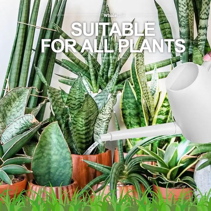WhaleLife Indoor Watering Can for House Bonsai Plants (2.0L, White) by GreenHaven Gardens