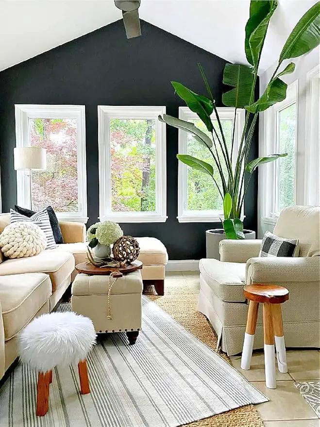 Bird of Paradise - White + Orange - Strelitzia. (2 White + 2 Orange BoP Cups) by GreenHaven Gardens