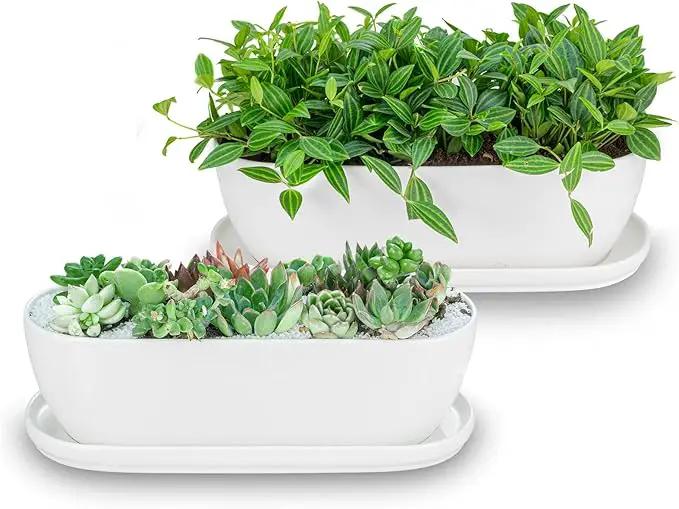 Ceramic Plant Pots, 11+14 inch, Set of 2, Planters with Drainage Holes Saucers and Mesh Pads, Indoor Flower Succulent Pot with Hole Mesh Pad, Gifts for Mom, Plants Not Included by GreenHaven Gardens