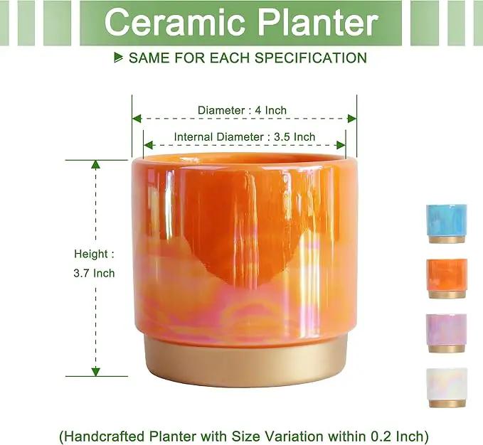 Gepege Succulent Pots for Plants, Succulent Planter with Drainage Holes, Ceramic Pot for Indoor Plant, Set of 4 by GreenHaven Gardens