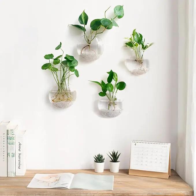 Mkono Wall Hanging Glass Terrariums Planter Oblate Flower Vase for Hydroponics Plants, Bathroom, Home Office Living Room Decor, Set of 2 by GreenHaven Gardens