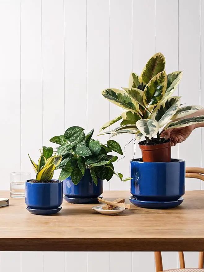 LE TAUCI Ceramic Plant Pots, 4.3+5.3+6.8 inch, Set of 3, Planters with Drainage Hole and Saucer, Indoor Flower Pot with Hole Mesh Pad, Gifts for Mom, Sapphire Blue by GreenHaven Gardens