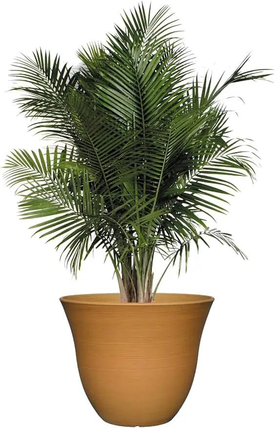 Classic Home and Garden Honeysuckle Resin Flower Pot Planter, Bamboo Brown, 15" by GreenHaven Gardens