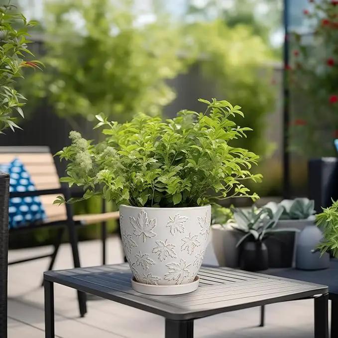 Ceramic Plant Pot 6 Inch - Ceramic Planter with Drainage Hole and Saucer Round Planter Flower Pot for Indoor Plants Outdoor Home Garden Office Decor White by GreenHaven Gardens