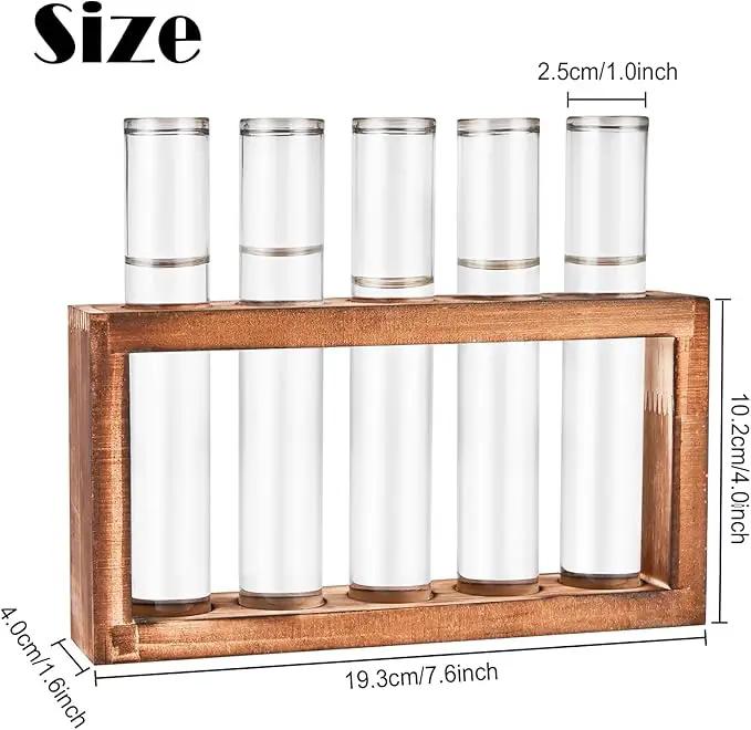 Desktop Glass Plant Propagation Station with 5 Test Tubes in Wooden Stand - Hydroponic Plants Cutting Office Home Decoration and Garden Decor Terrarium (5 Tubes) by GreenHaven Gardens