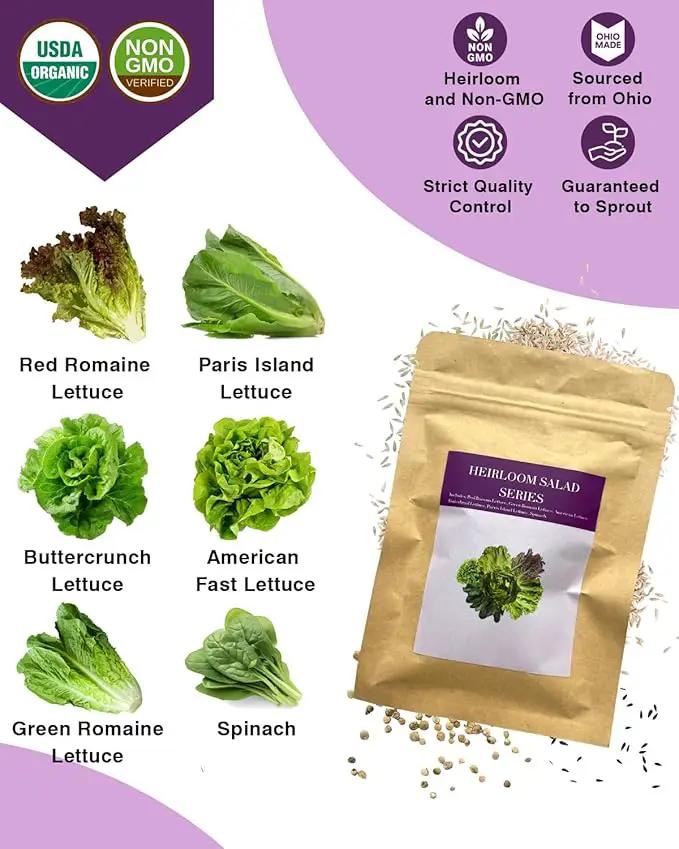 Salad Greens Seed Pod Kit for AeroGarden, iDoo, Ahopegarden, MUFGA with Red/Green Romain/American Fast/Buttercrunch/Parris Island Lettuce, Spinach - Compatible with All Garden (12-Pod) by GreenHaven Gardens