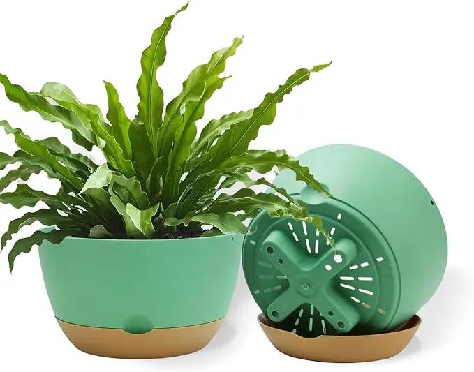 8 Inch Pots for Indoor Plants, Self Watering Planters with Drainage and Saucers, Plastic Outdoor Flower Pot, Set of 2, Green by GreenHaven Gardens