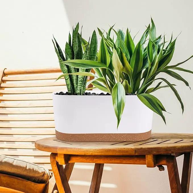 QCQHDU 16" L x 7.6" W x 7" H Window Planter Box, 2 Pack Self Watering Pots for Indoor Plants with Drainage Holes & Saucer, Outdoor Flower Pots Home Garden Modern Decor by GreenHaven Gardens