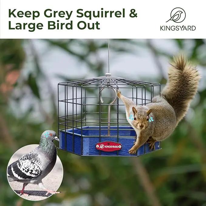 Kingsyard Squirrel Proof Platform Bird Feeder for Outdoor Hanging, Caged Bird Feeder for Bluebird Mealworm, Recycled Plastic Feeding Platform with Metal Mesh Tray, Special for Small Birds, Blue by GreenHaven Gardens