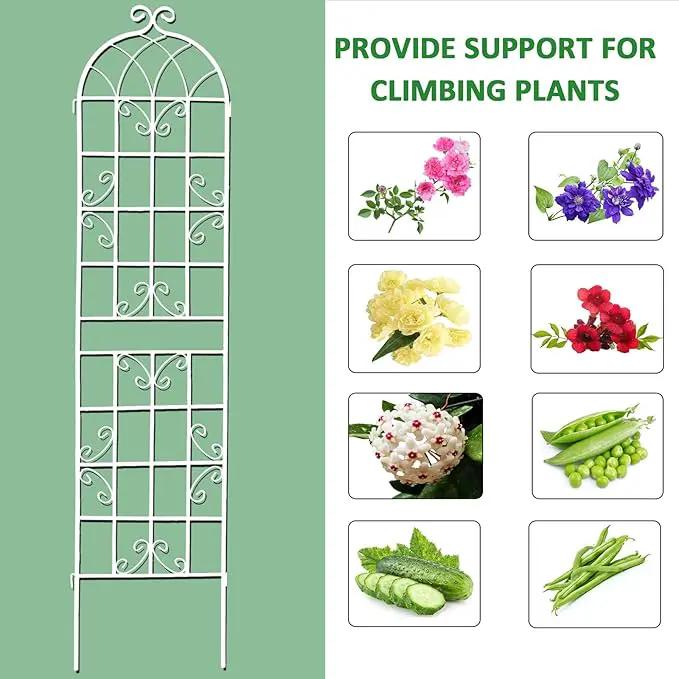 2 Pack Metal Garden Trellis 71" H Fence Rustproof Garden Trellis for Climbing Plants Support Roses Flower Outdoor Lawn, Cream White by GreenHaven Gardens
