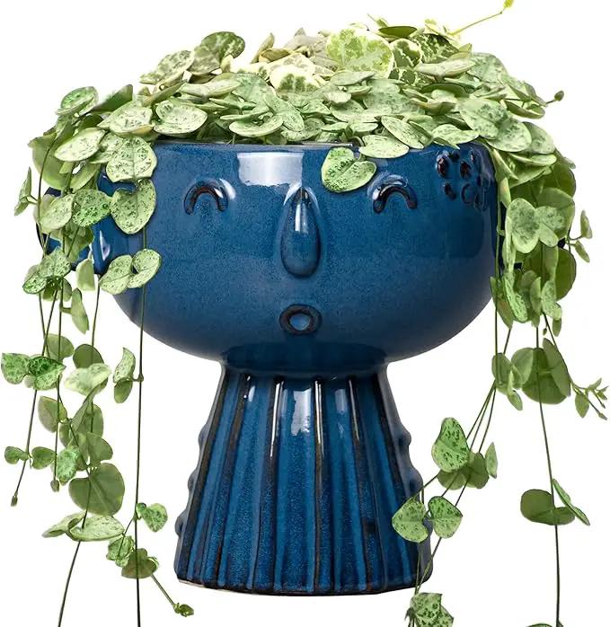 Head Planter Pot - 7 Inch Cute Face Planter for Indoor Outdoor Plants Ceramic Succulent Pot Round Flower Pot Present for Mother Christmas with Drainage Hole Blue by GreenHaven Gardens