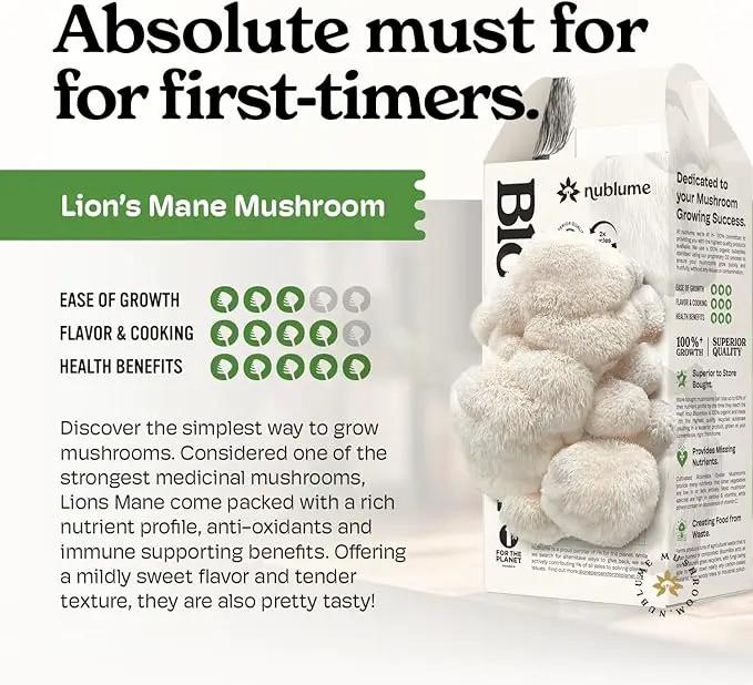 Lion's Mane Mushroom Grow Kit | Grow Your Own Fresh Gourmet Mushrooms at Home | Edible Indoor Mushroom Growing Kits Great Gift by GreenHaven Gardens