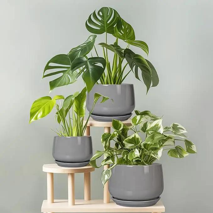 G EPGardening Modern Ceramic Planter - 7 Inch Round Modern Plant Pot Indoor with Drainage and Ceramic Tray Indoor Outdoor for Flower, Vanity Decor, Birthday Gifts, Grey