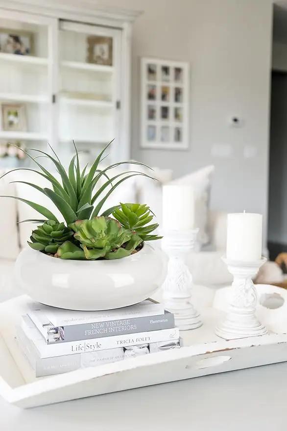 Large Artificial Succulents Plants Faux Succulents in Pots Fake Succulent Arrangement Potted Plants with White Ceramic Pot for Office Desk Bathroom Shelf Living Room Indoor & Outdoor Home Decor by GreenHaven Gardens