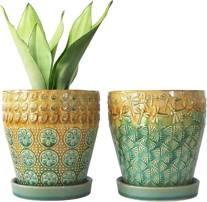 6 Inch Ceramic Planter with Drainage Hole and Saucer for Plants, Indoor-Outdoor Large Round Succulent Orchid Flower Pot, Set of 2 by GreenHaven Gardens