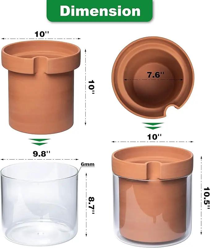 Phoenix Vine 10 Inch Self Watering Planter Pot, Terracotta Clay Pot with Glass Reservoir for Indoor Plants, Herbs, Flowers, Set of 1, 52-A-I-1 by GreenHaven Gardens