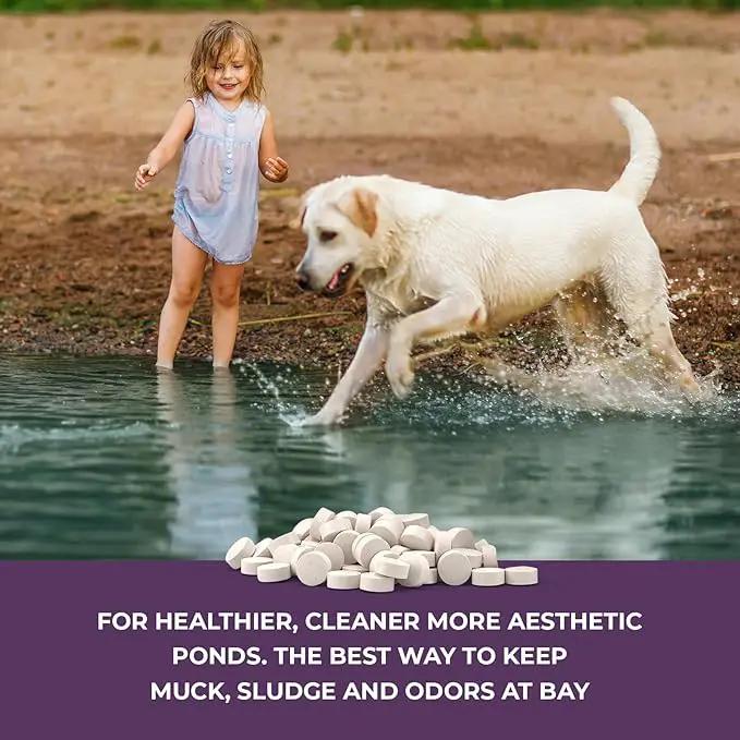 Nature's Core Muck Removal Tablets Natural Pond Sludge Remover, Cleans & Clears Away Muck & Sludge, Safe for The Environment, Treats 1,500 Sq Ft, 3 Month Supply, 16 Scoops, 8 lb by GreenHaven Gardens