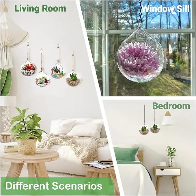Ivolador Hanging Planter Glass Terrarium Container Air Plant Holder Succulents Globe Shape Home Garden Decor-4.7 Inches-3PCS by GreenHaven Gardens