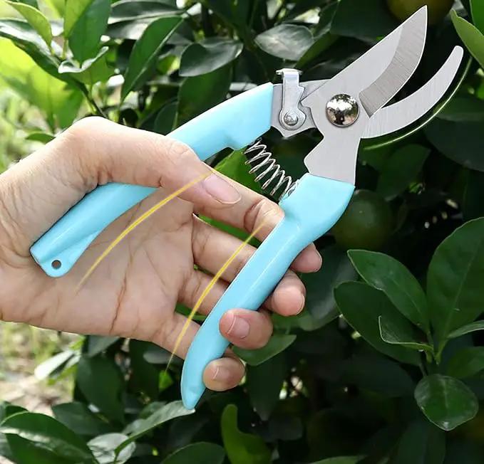 5pcs Garden Flower Shears Pruning Shears 6.9 inches Scissors Heavy Duty Plant Scissors for Cutting Flowers, Trimming Plants, Bonsai, Fruits Picking (Blue Handle 5pcs) by GreenHaven Gardens