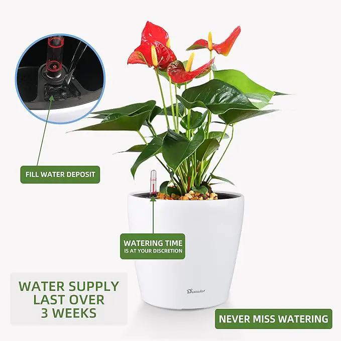 Dexceder 11x10 Inches High Gloss Self Watering Planter Indoor Outdoor, Inner Pot Design, Thickened Table Flower Plant Pot with Water Level Indicator (White) by GreenHaven Gardens
