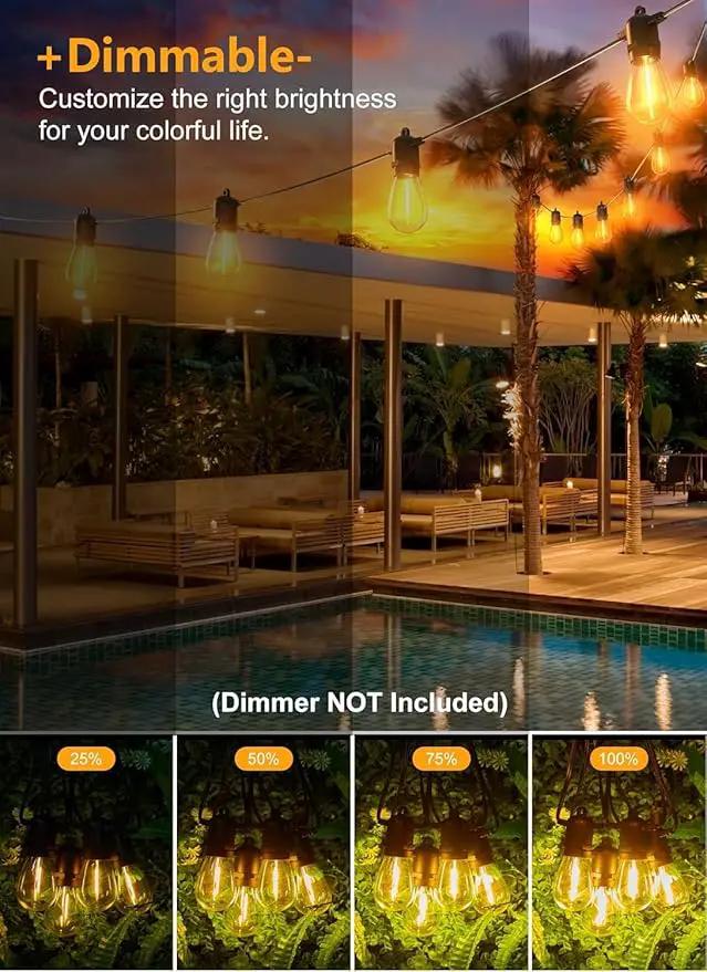 Brightown Outdoor String Lights 35FT with 10+1 Shatterproof Edison Bulbs, Waterproof Hanging Patio Lights Outside for Backyard Deck Garden Party Xmas Decor, 2700K by GreenHaven Gardens