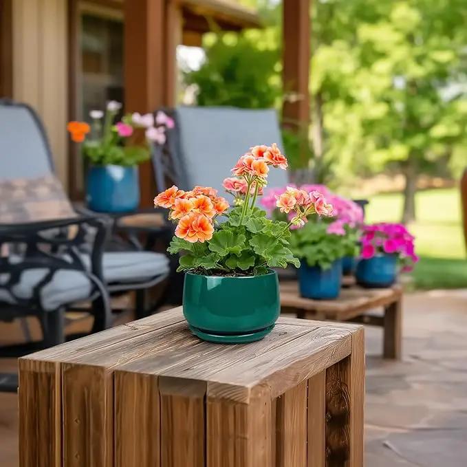 G EPGardening 4 inch Plant Pots - Small Ceramic Planter with Drainage Hole & Tray, Succulent Pots Indoor Outdoor, Round Modern Planter, Decorative Flower Pot, Desk Decor, Gifts for Plant Lover, Green by GreenHaven Gardens