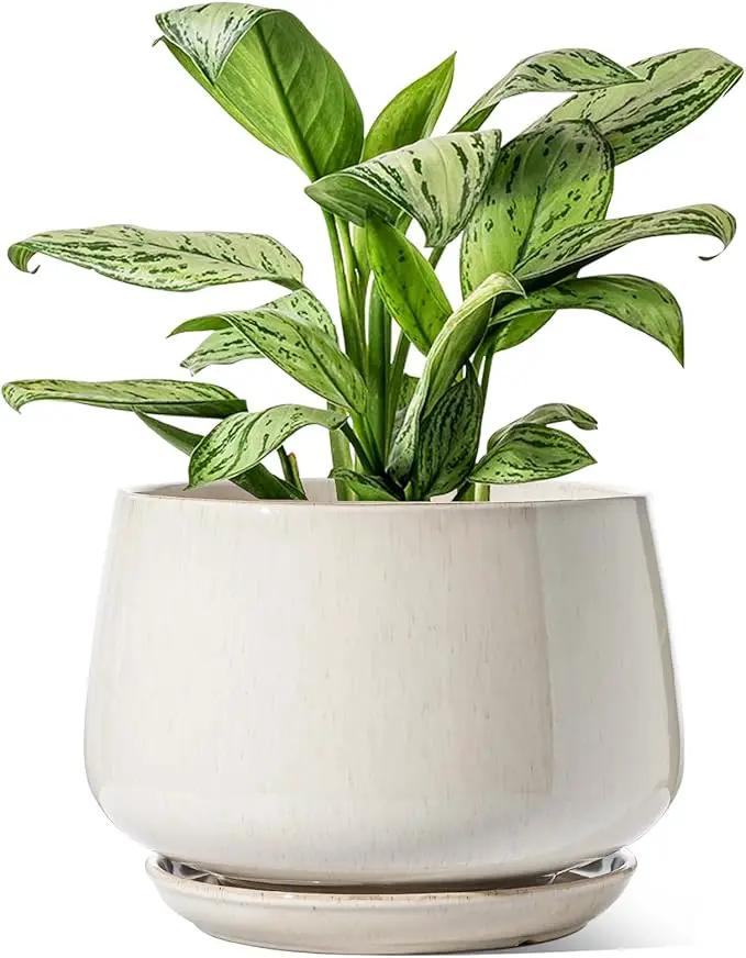 LE TAUCI Ceramic Planters, 12 Inch Pots for Plants, Indoor Plant Pots with Drainage Holes and Saucers, Modern Planters Fit Mid Century Plant Stand, Flower Pots for Indoor Plants, Reactive Glaze Beige by GreenHaven Gardens