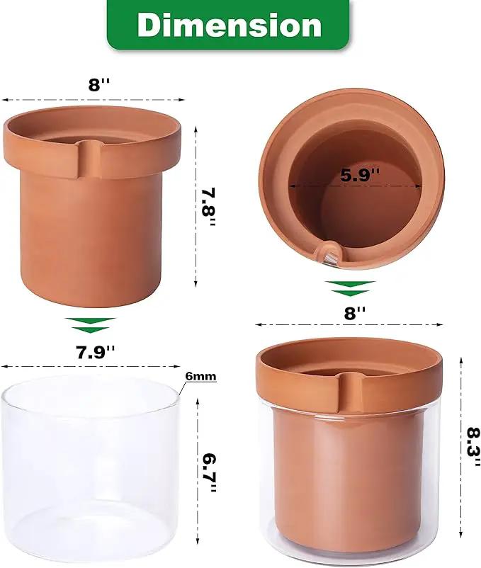 Phoenix Vine 8 Inch Self Watering Planter Pot, Terracotta Clay Pot with Glass Reservoir for Indoor Plants, Herbs, Flowers, Set of 1, 52-A-H-1 by GreenHaven Gardens