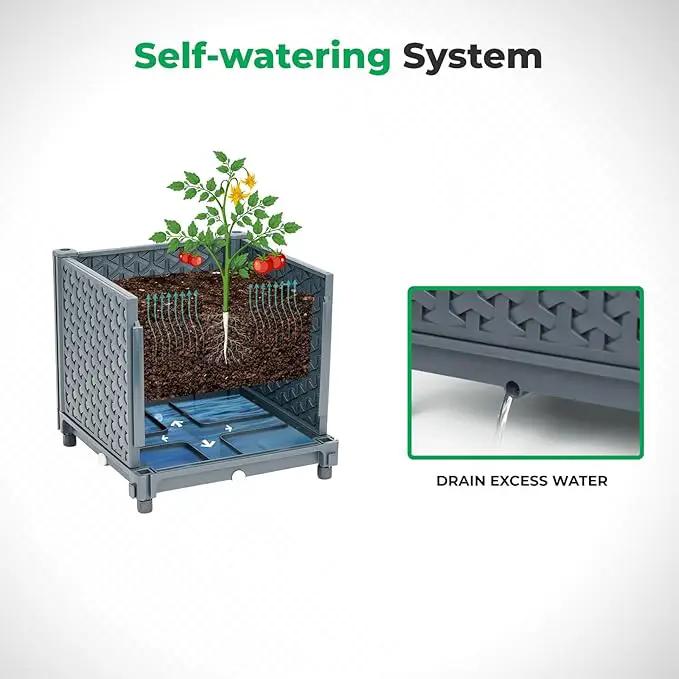Raised Garden Bed with Tomato Planter Cage, Trellis Planter Boxes for Outdoor Patio Greenhouse Gardening Climbing Vegetables by GreenHaven Gardens
