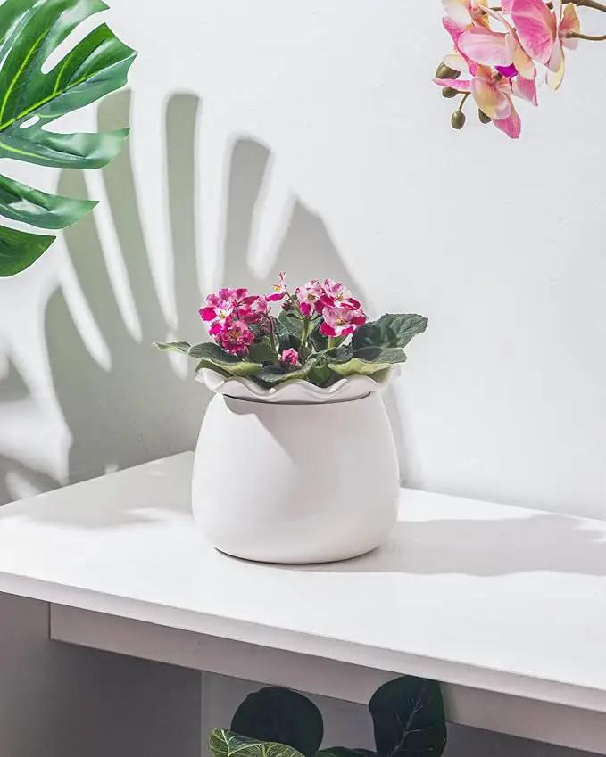 Self Watering Plant Pot, 6 Inch African Violet Pots Maintenance, Ceramic Self-Watering Planter for Indoor Plants - Ideal Flower Pot for Thriving Indoor Gardens by GreenHaven Gardens