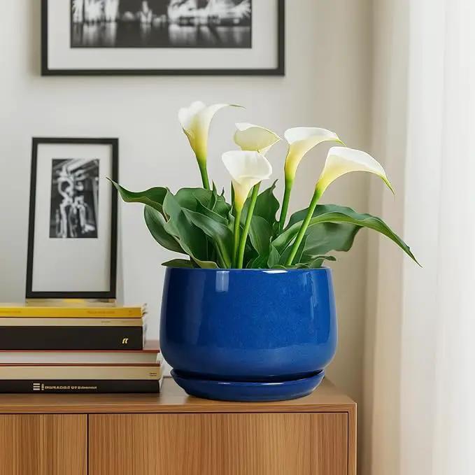 G EPGardening Ceramic Pots for Plants, 9 Inch Modern Round Planter with Drainage and Tray Indoor Outdoor for Flower, Patio Decor, Housewarming Gifts, Blue by GreenHaven Gardens
