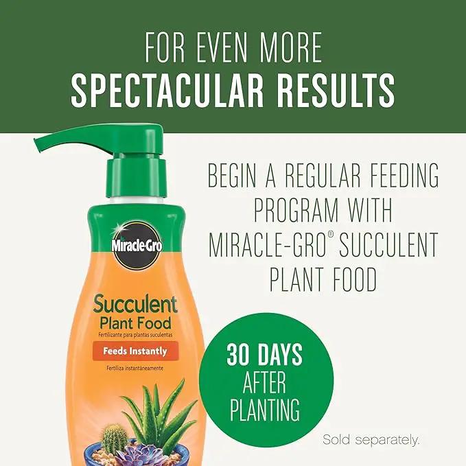 Miracle-Gro Succulent Potting Mix, For Indoor Succulents, Aloe Vera and More, Made with Miracle-Gro Plant Food, 4 qt by GreenHaven Gardens